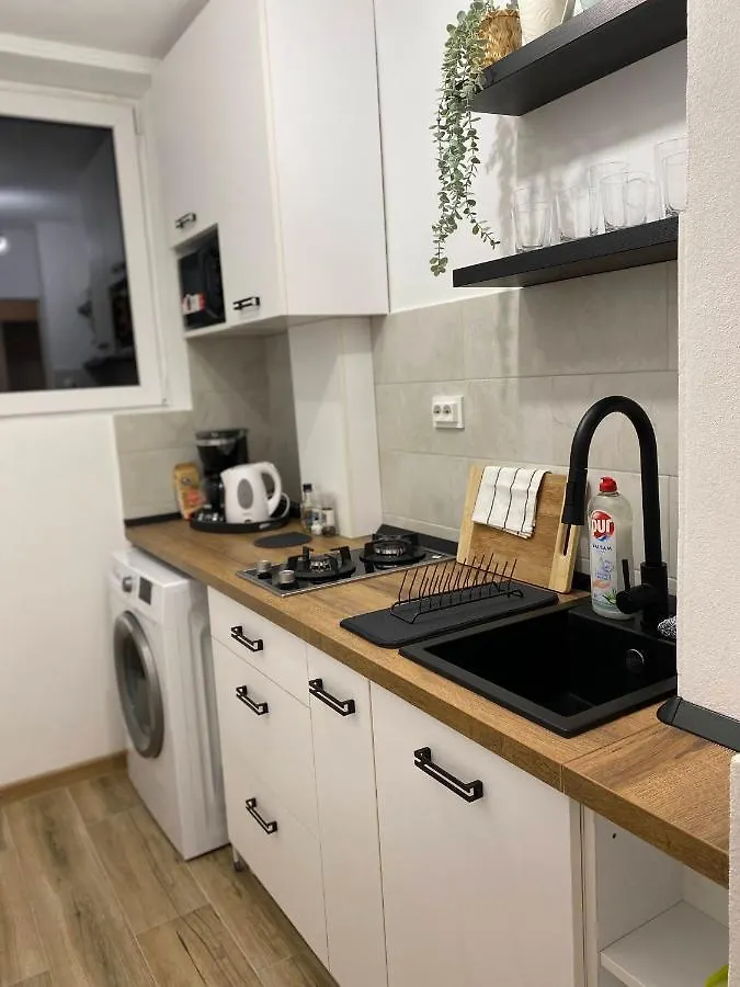 Central Cozy Apartment North Railway St - 4 Min Walk Bükreş