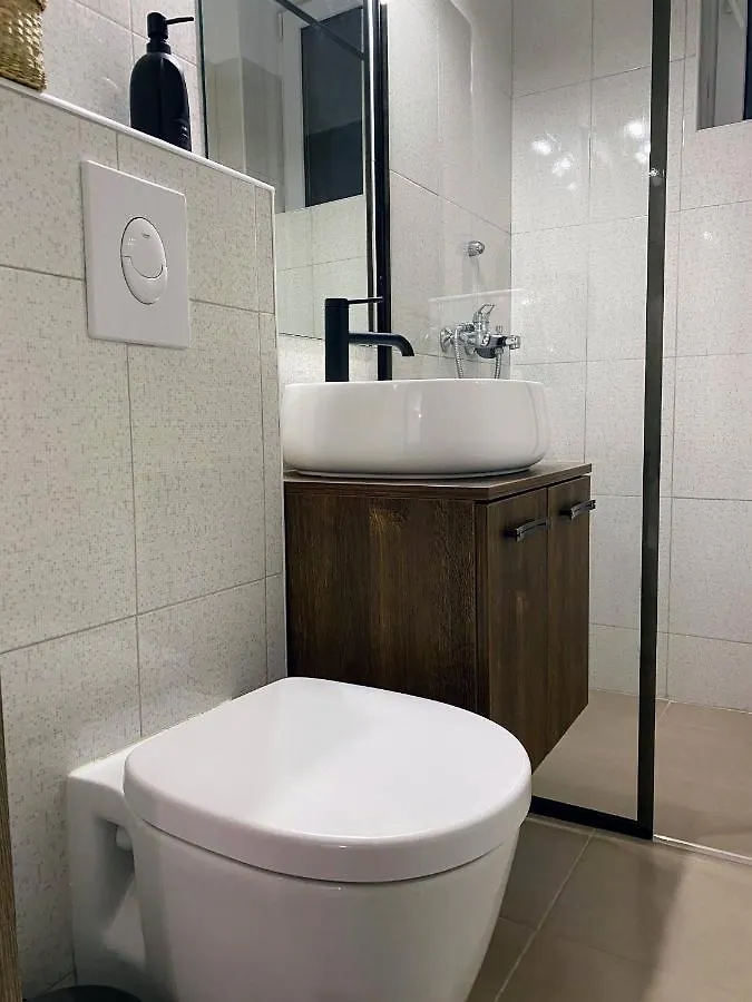 Central Cozy Apartment North Railway St - 4 Min Walk Bükreş
